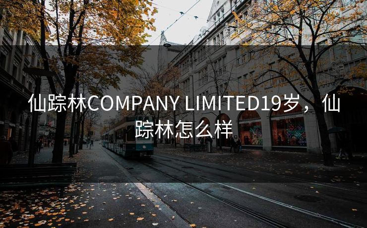 仙踪林COMPANY LIMITED19岁，仙踪林怎么样