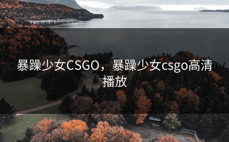 暴躁少女CSGO,暴躁少女csgo高清播放