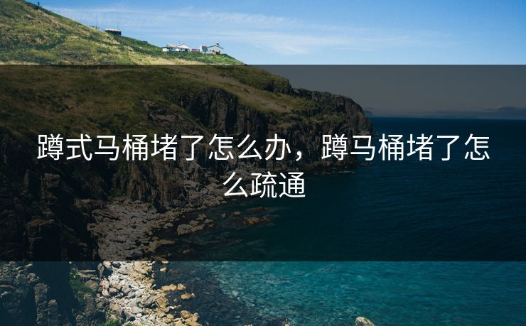 蹲式马桶堵了怎么办，蹲马桶堵了怎么疏通